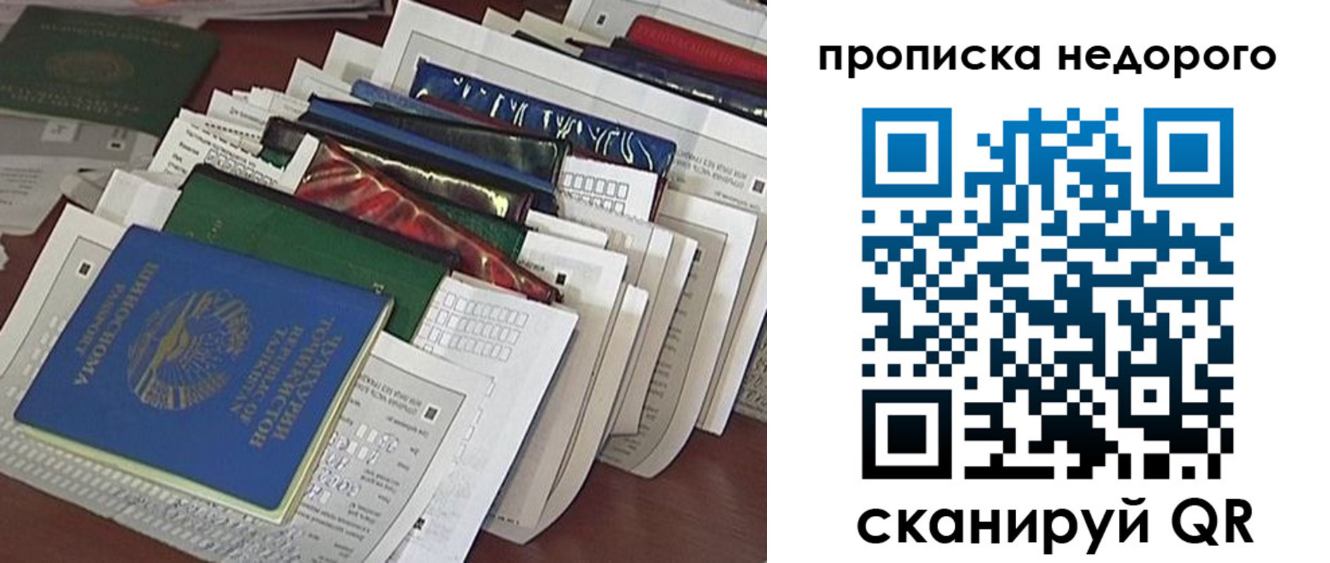 прописка гарантия в Сясьстрое